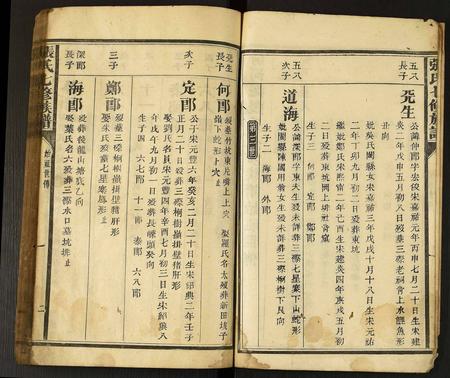 云南张氏-张氏七修族谱.pdf电子版预览图3