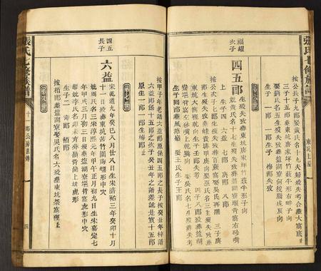 云南张氏-张氏七修族谱.pdf电子版预览图5