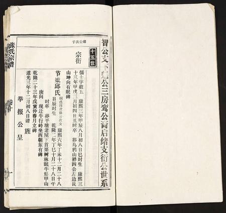 云南张氏-张氏宗谱.pdf电子版预览图2