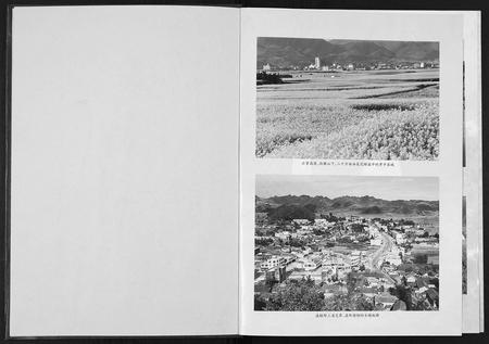 云南张氏-张氏家谱.云南罗平板桥宗支.pdf电子版预览图1