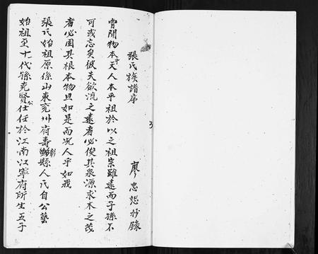 云南张氏-张氏族谱.pdf电子版预览图3