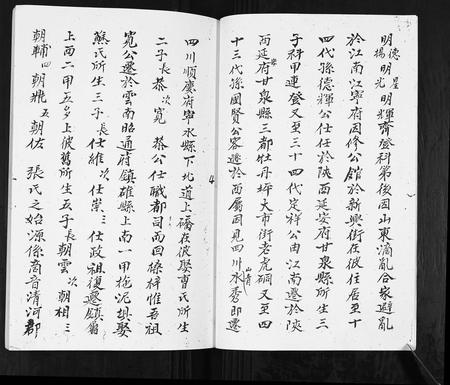 云南张氏-张氏族谱.pdf电子版预览图4