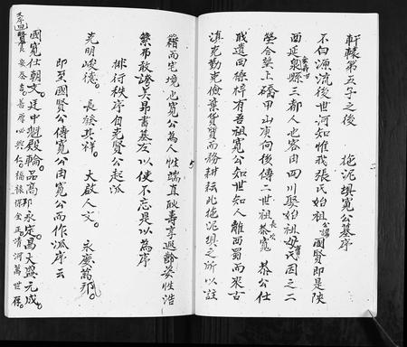 云南张氏-张氏族谱.pdf电子版预览图5