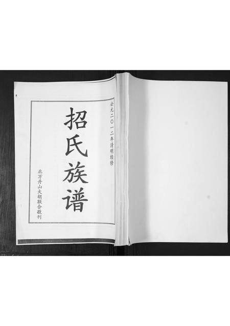 山东招氏-招氏族谱.pdf电子版缩略图