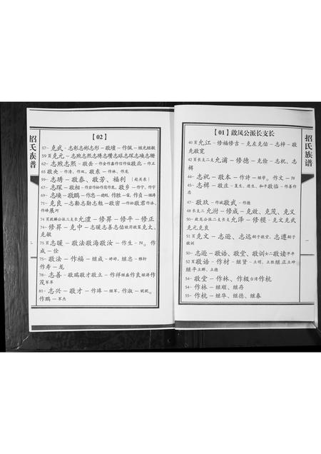 山东招氏-招氏族谱.pdf电子版预览图2
