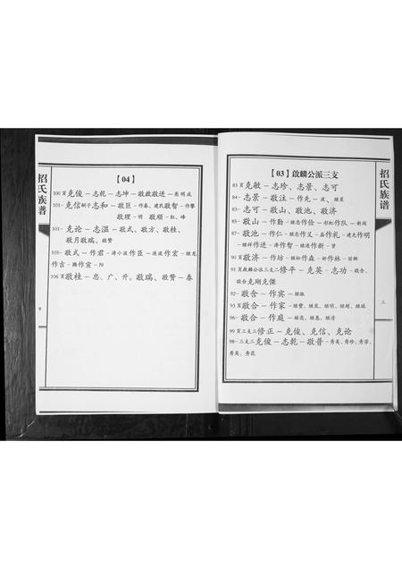 山东招氏-招氏族谱.pdf电子版预览图3