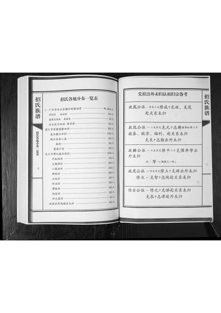山东招氏-招氏族谱.pdf电子版预览图5