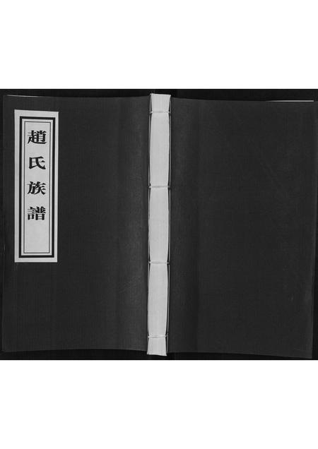 山东赵氏-赵氏族谱.pdf电子版缩略图