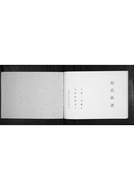 山东赵氏-赵氏族谱[不分卷].pdf电子版预览图1