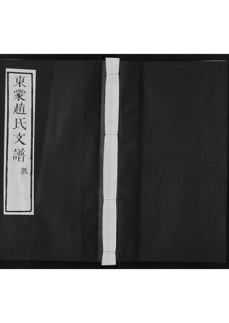 山东赵氏-东蒙赵氏支谱.pdf电子版缩略图