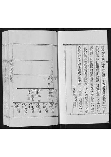 山东赵氏-东蒙赵氏支谱.pdf电子版预览图2