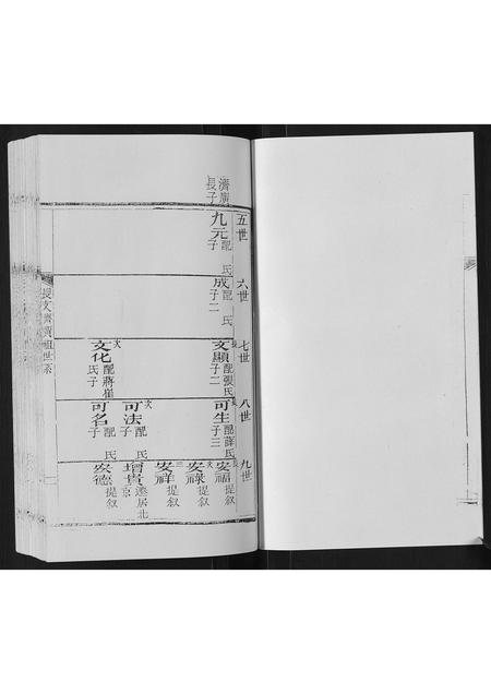 山东赵氏-东蒙赵氏支谱.pdf电子版预览图3