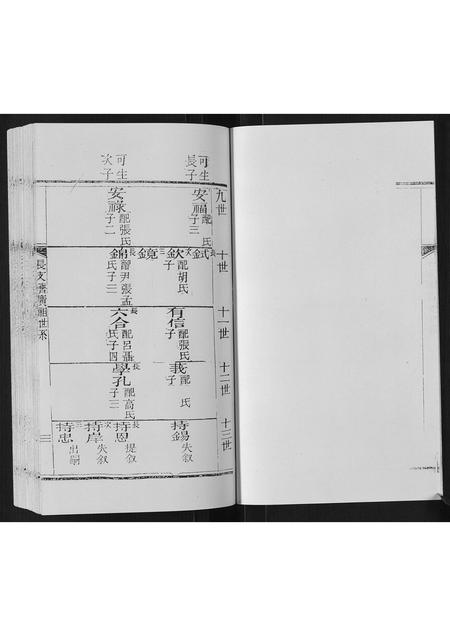 山东赵氏-东蒙赵氏支谱.pdf电子版预览图4