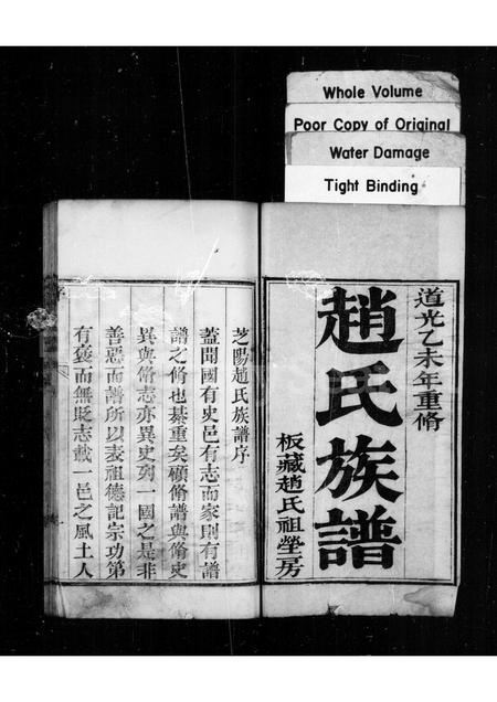 山东赵氏-芝阳赵氏族谱 [4卷].pdf电子版预览图1