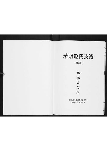山东赵氏-蒙阴赵氏支谱.pdf电子版预览图1