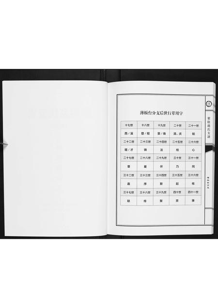 山东赵氏-蒙阴赵氏支谱.pdf电子版预览图2