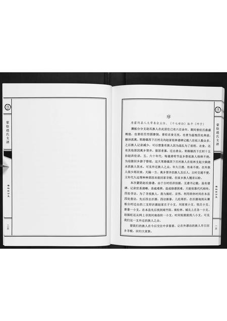 山东赵氏-蒙阴赵氏支谱.pdf电子版预览图4