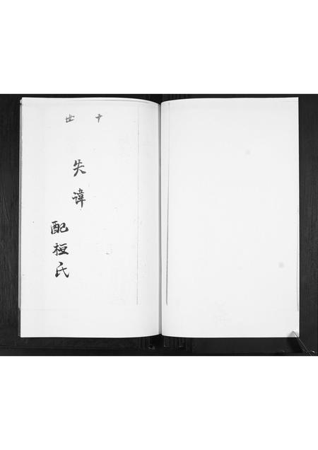 山东赵氏-赵家谱书.pdf电子版预览图2