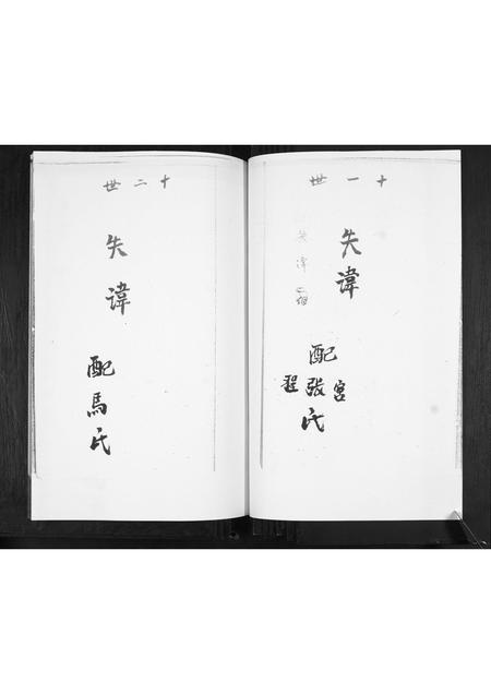 山东赵氏-赵家谱书.pdf电子版预览图3