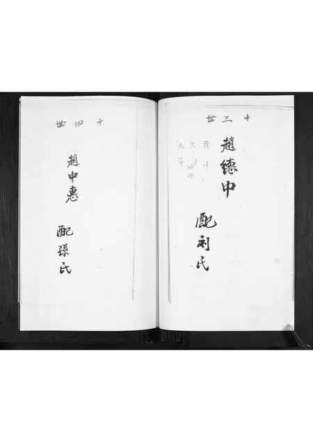 山东赵氏-赵家谱书.pdf电子版预览图4