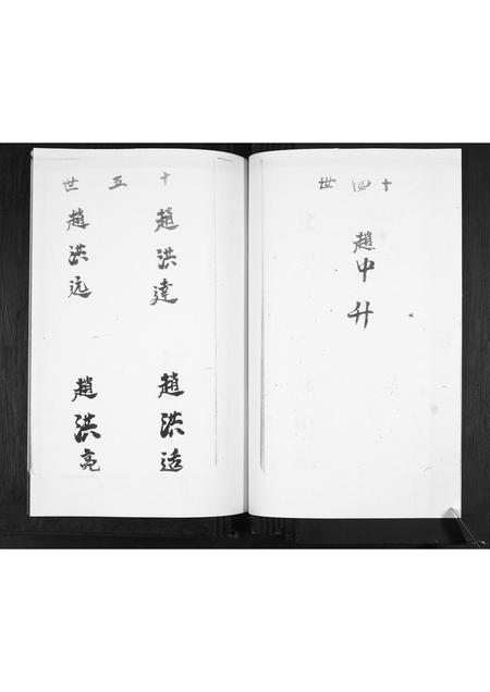 山东赵氏-赵家谱书.pdf电子版预览图5