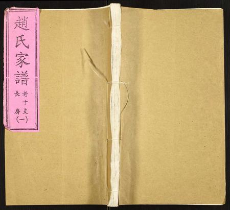 山东赵氏-赵氏家谱.pdf电子版缩略图