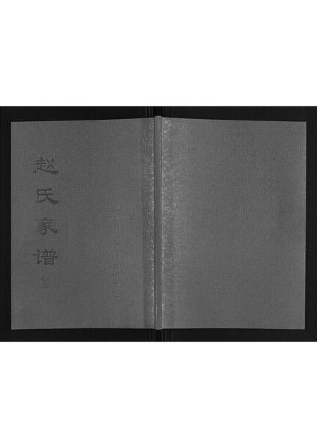 山东赵氏-赵氏家谱[2卷].pdf电子版缩略图