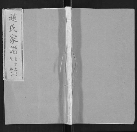 山东赵氏-赵氏家谱[不分卷].pdf电子版缩略图