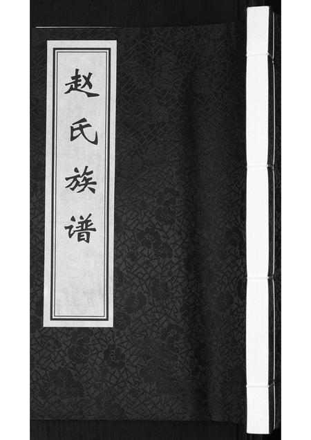 山东赵氏-赵氏族谱.pdf电子版缩略图