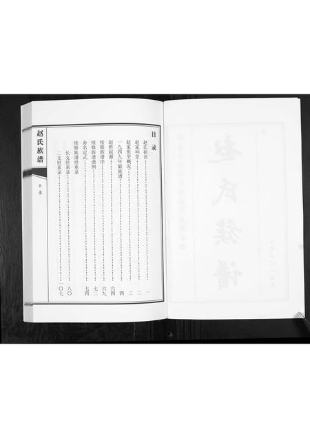 山东赵氏-赵氏族谱.pdf电子版预览图2