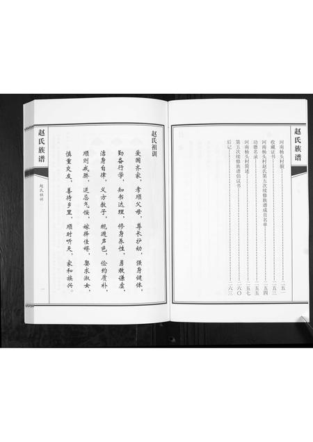 山东赵氏-赵氏族谱.pdf电子版预览图3