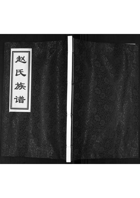 山东赵氏-赵氏族谱.pdf电子版缩略图