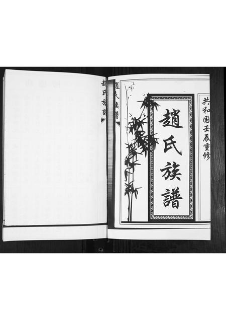 山东赵氏-赵氏族谱.pdf电子版预览图1