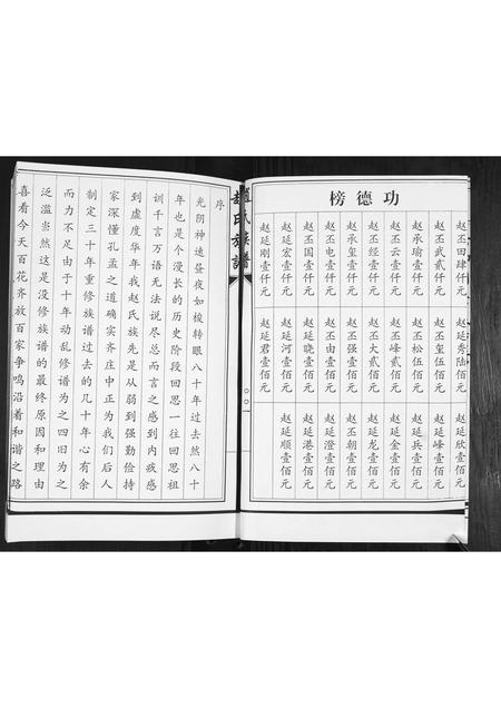 山东赵氏-赵氏族谱.pdf电子版预览图2