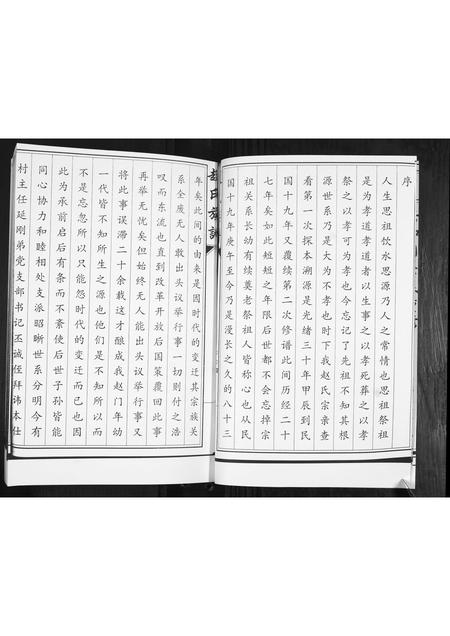 山东赵氏-赵氏族谱.pdf电子版预览图5