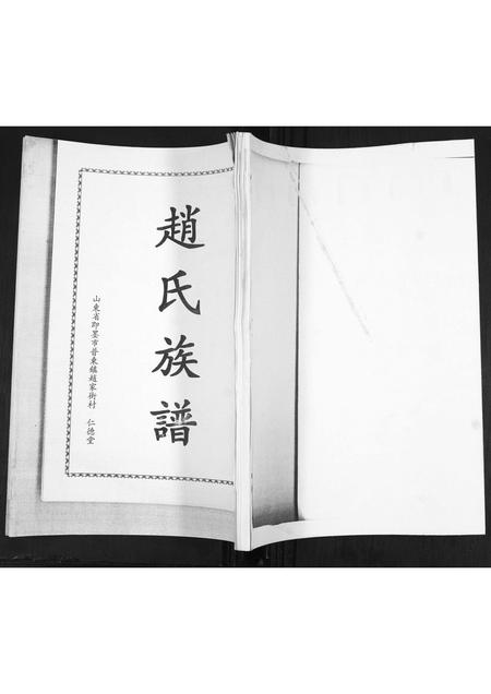 山东赵氏-赵氏族谱.pdf电子版缩略图