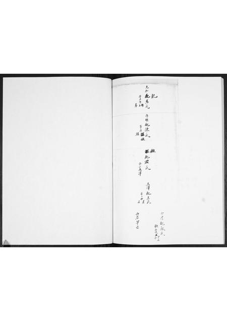 山东赵氏-赵氏族谱.pdf电子版预览图5