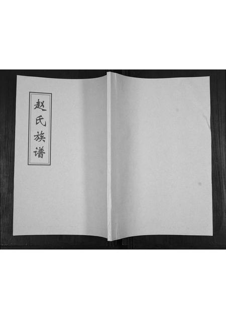 山东赵氏-赵氏族谱.pdf电子版缩略图