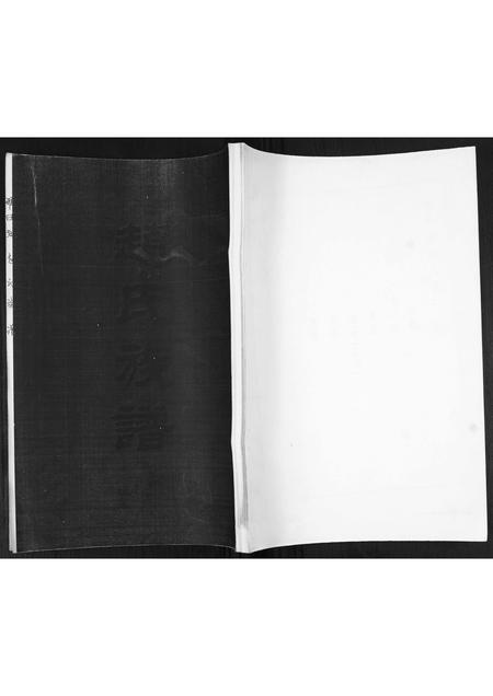 山东赵氏-赵氏族谱.pdf电子版缩略图