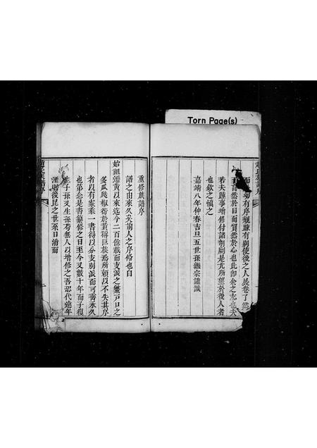 山东赵氏-赵氏族谱(别名：芝阳赵氏族谱).pdf电子版预览图2