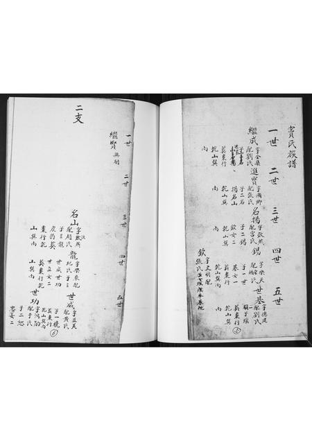 山东窦氏-窦氏族谱.pdf电子版预览图3