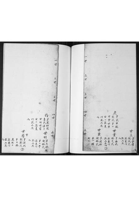 山东窦氏-窦氏族谱.pdf电子版预览图4