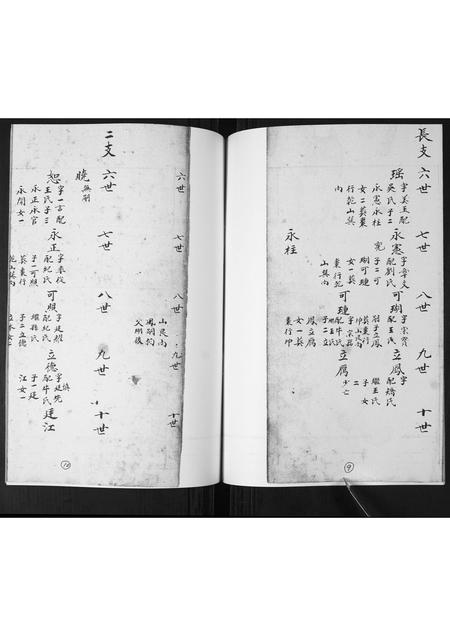 山东窦氏-窦氏族谱.pdf电子版预览图5