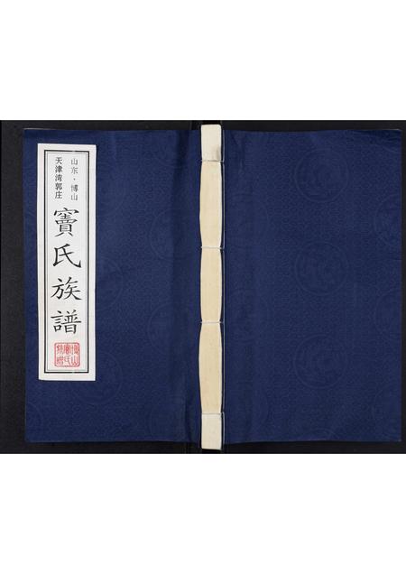 山东窦氏-窦氏族谱.pdf电子版缩略图