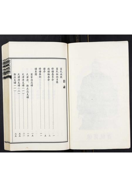 山东窦氏-窦氏族谱.pdf电子版预览图4