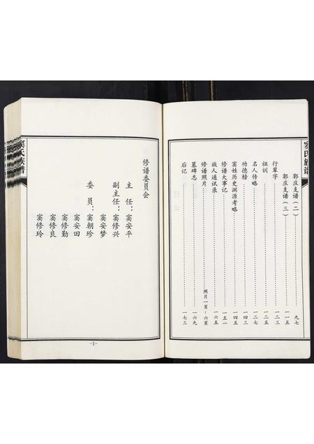 山东窦氏-窦氏族谱.pdf电子版预览图5