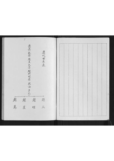 贵州赵氏-扬旗山赵氏应宗后裔天台乡铁匠炉分支族谱.pdf电子版预览图5