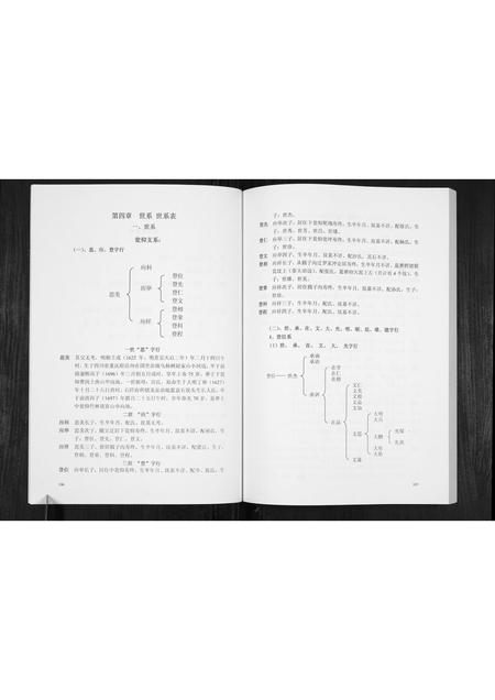 贵州赵氏-翁仰赵氏家谱.pdf电子版预览图3