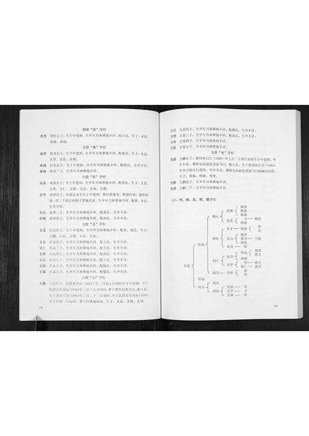 贵州赵氏-翁仰赵氏家谱.pdf电子版预览图4