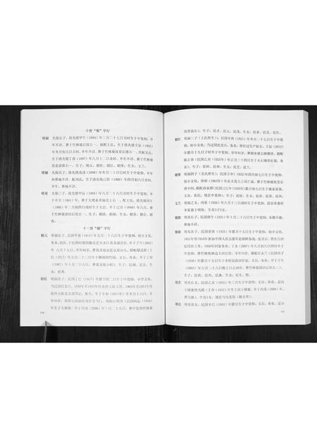 贵州赵氏-翁仰赵氏家谱.pdf电子版预览图5